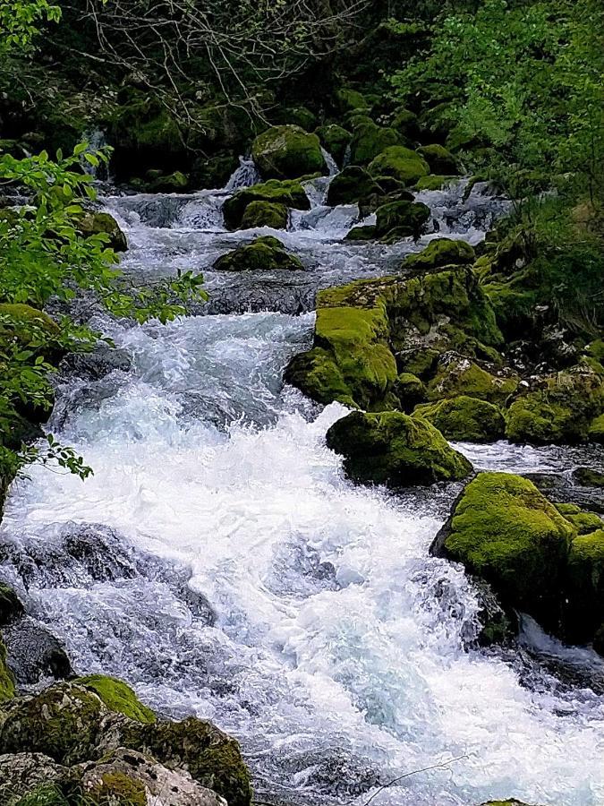 Pri Zajcu Lägenhet Bovec Exteriör bild